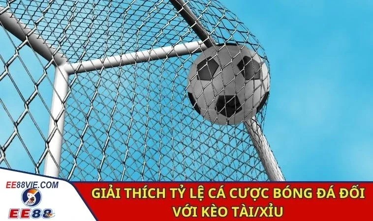 Giải Thích Tỷ Lệ Cá Cược Bóng Đá Chi Tiết, Cụ Thể Từ A - Z 2 Giải thích tỷ lệ cá cược bóng đá đối với kèo châu Á