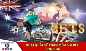 Khái quát về phần mềm soi kèo bóng đá hiện nay