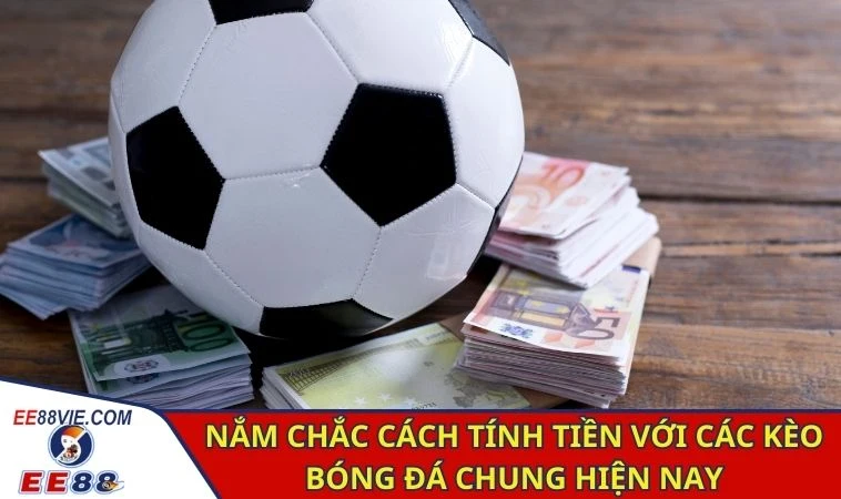 Giải Thích Tỷ Lệ Cá Cược Bóng Đá Chi Tiết, Cụ Thể Từ A - Z 4 Nắm chắc cách tính tiền với các kèo bóng đá chung hiện nay