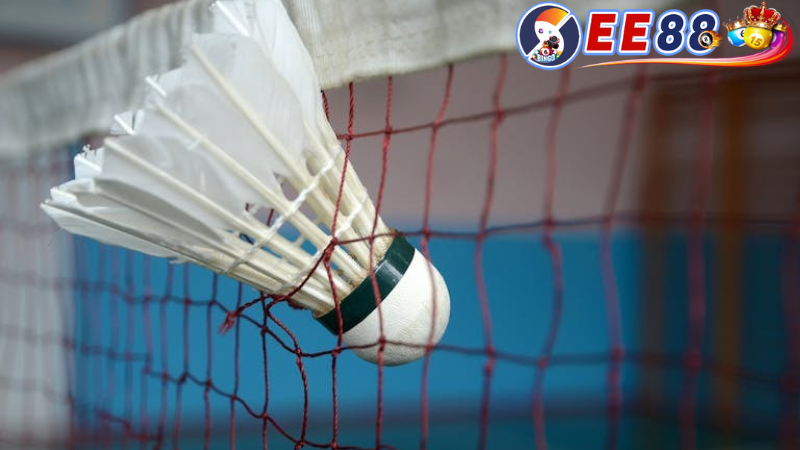 Cá Cược Cầu Lông Ee88: Sáng Tạo Chiến Thuật Cá Cược Cầu Lông 3 Chiến thuật nâng cao trong cá cược cầu lông ee88