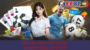 Đặt Cược Ee88 Có Gì Hấp Dẫn - Cảm Nhận Ngay Sự Đặc Biệt