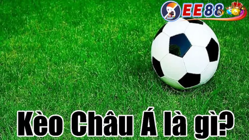 Tỷ Lệ Kèo Châu Á Ee88 - Chia Sẻ Những Kinh Nghiệm Đặt Cược 2 Kinh nghiệm đặt cược Tỷ lệ kèo châu Á ee88 hiệu quả
